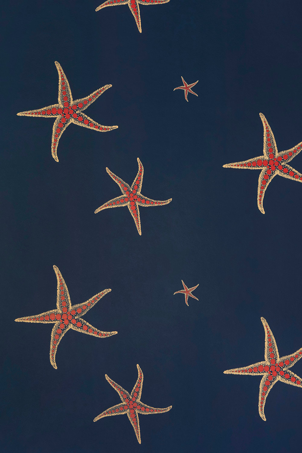 Premium Photo  Starfish on the beach wallpaper